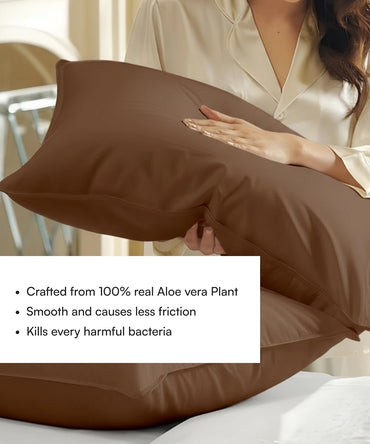 Chocolate brown pillow with a House of Doctor pillowcase. held by a person with text about Aloe vera plant properties.