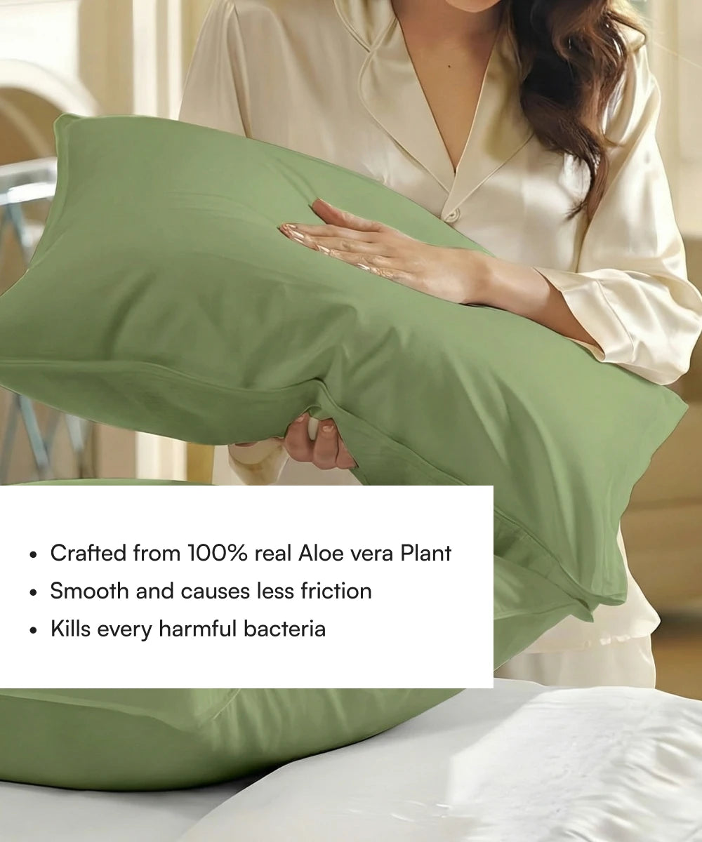 Person holding a aloe green pillow with Aloe vera plant properties text overlay