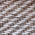 Understanding the Core Problem: Towels and Bacteria