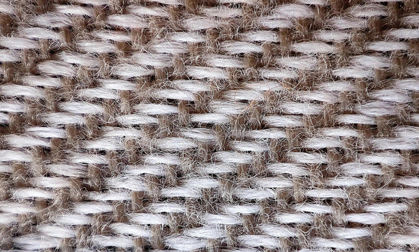 Understanding the Core Problem: Towels and Bacteria