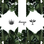 Doctor Towels' commitment on Earth day : - Doctor Towels