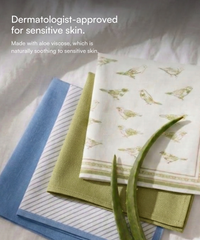 Aluvera Hand kerchief | Aloegreen and Mirage Blue combo | 40 X 40 cm | Pack of 4