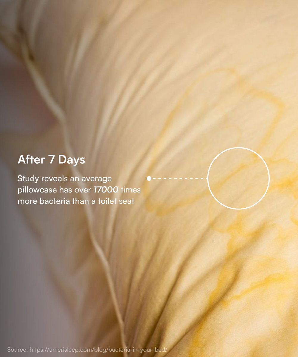 Pillowcase | Moon mist Color | Pack of 2