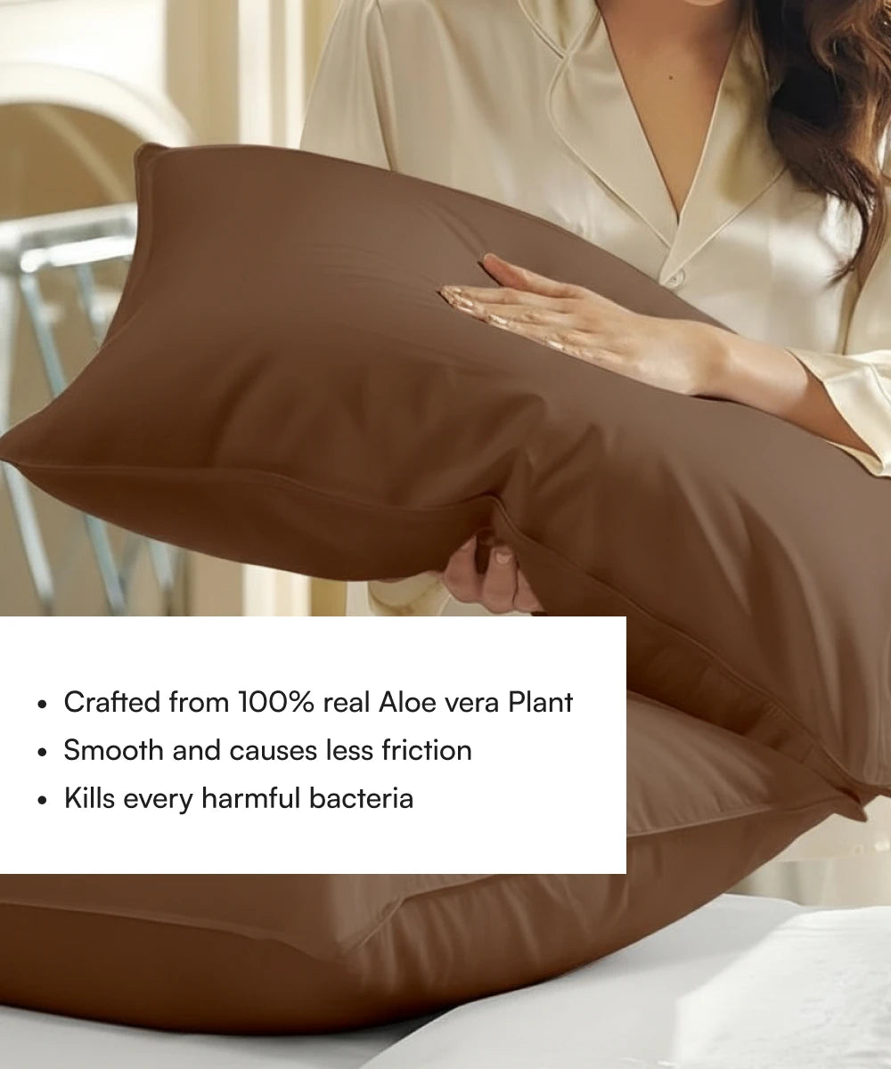 Chocolate brown pillow with a House of Doctor pillowcase. held by a person with text about Aloe vera plant properties.