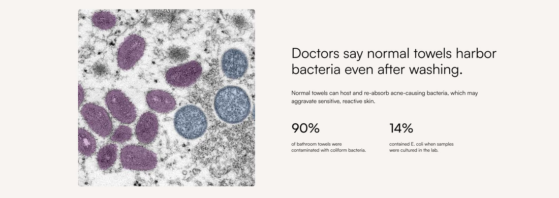 Microscopic view of bacteria with text about normal towels harboring bacteria.