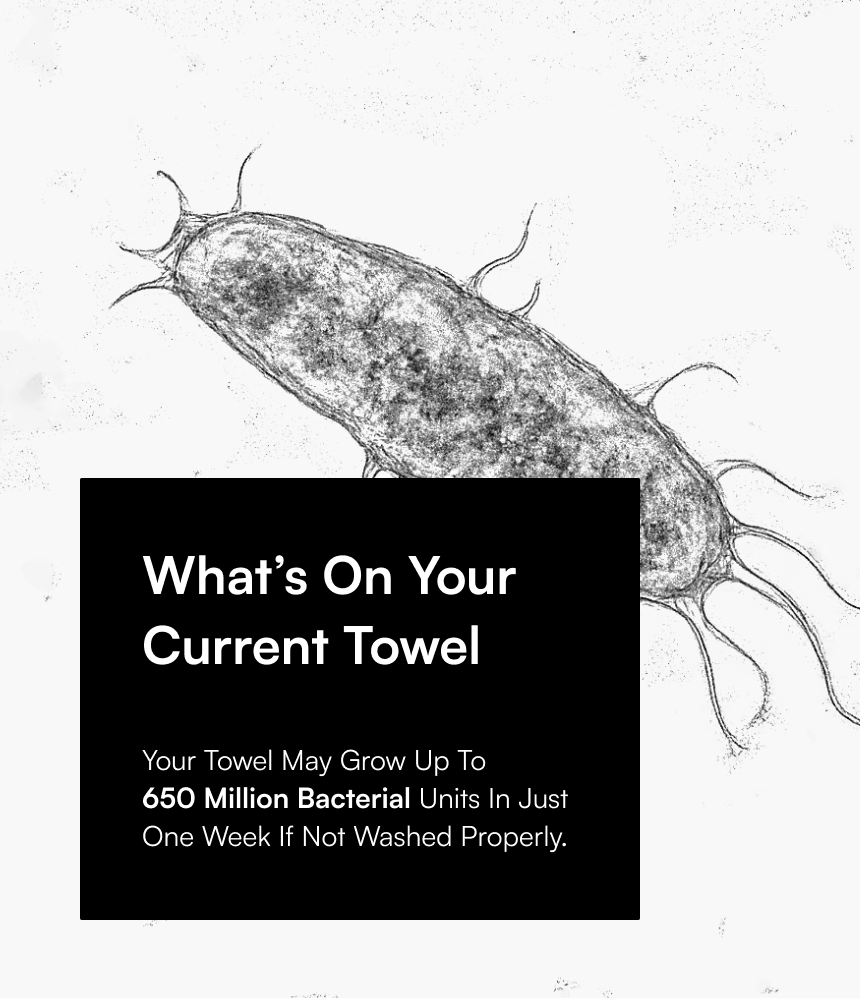 Illustration of a细菌 with text about bacterial growth on towels.