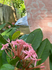 Customer photo of Banana Jacquard Floral Bath Towel | 210 GSM | 75 x 150 cm