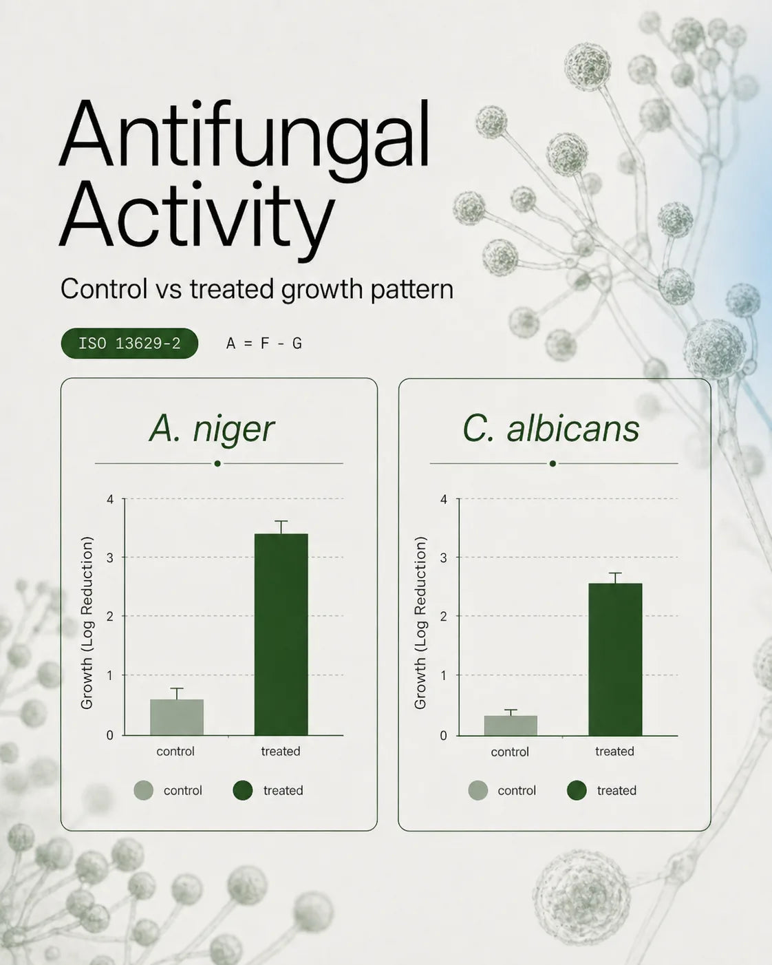 Antifungal activity panel comparing control and treated growth patterns
