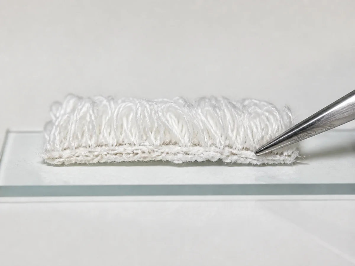 Cotton towel fibre cross-section on a microscope slide